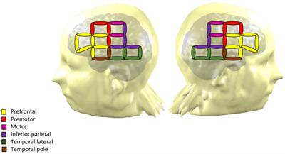 Early childhood malnutrition impairs adult resting brain function using near-infrared spectroscopy